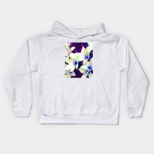 Starlight Kids Hoodie